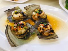 豉汁蒸海带子-新金盛·海鲜酒楼(盐田店)