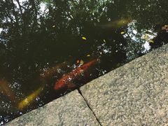 -珠海圆明新园