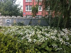 -东北大学(秦皇岛分校)