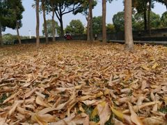 -上海海事大学(临港校区)