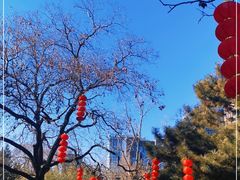 -团结湖公园