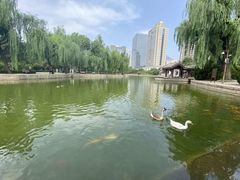 -团结湖公园