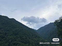 -大奇山国家森林公园