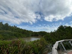 -大亚湾红树林城市湿地公园