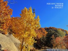 -云蒙山风景区