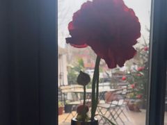 -Laures·月桂西班牙碳烤餐厅(十尚坊店)