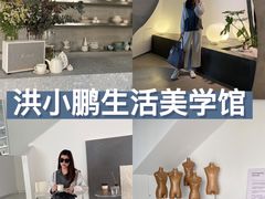 -洪小鹏生活美学馆(领SHOW天地店)