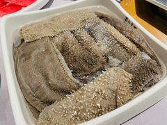 鲜毛肚-蜀九香火锅(九眼桥店)