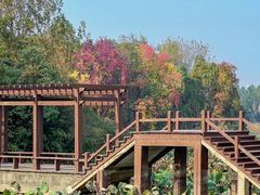 -艾溪湖湿地公园