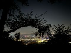 -紫金山山顶公园
