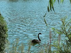 -长春市南湖公园