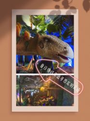 -恐龙探索乐园(磁器口店)