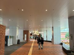-香港大学