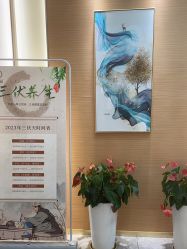 -雅曼妮spa美容养生