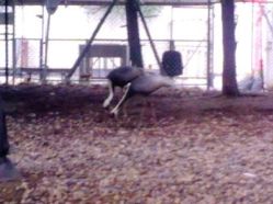 -金庭庄园酒店彩虹厅