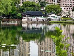 -和平公园