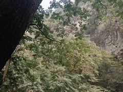 -北京上方山国家森林公园