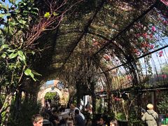 -The Grounds of Alexandria