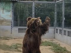 -龙口动植物园