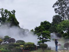 -东莞植物园
