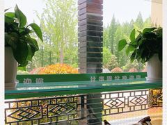 -黄海国家森林公园