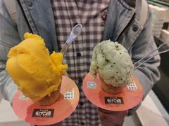 -野人先生现做冰淇淋(西安赛格店)