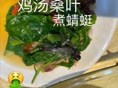 上汤桑叶-五邑人家(江门店)