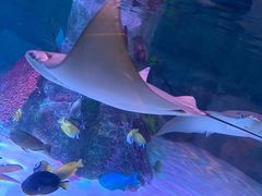 -沈阳海洋探索中心