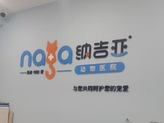 -纳吉亚猫专科动物诊疗中心(蒋宅口分院)