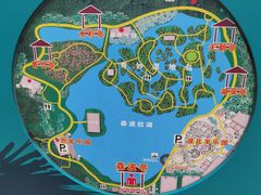 -森波拉奇妙世界