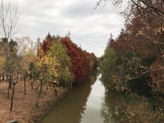 -上海长兴岛郊野公园