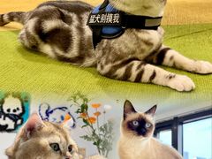 -梅龙镇广场