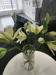 -春田皮肤管理中心品牌旗舰店