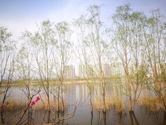 -永定河休闲森林公园