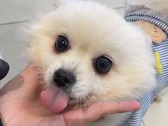 -怪兽屋·羊驼·猫咖·狗咖(俊华广场店)