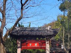 -汇龙潭