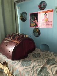 -骄阳兰多产后修复(徐东旗舰店)
