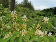 -永定河休闲森林公园