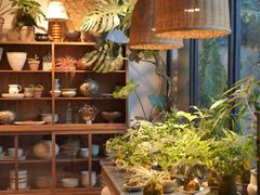 -自由生长植物工作室(深港花卉中心店)