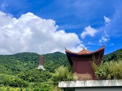-深圳仙湖植物园