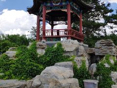 -大兴滨河森林公园