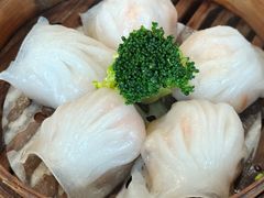 西南虾饺皇-澳门西南饭店·粤菜·茶市·手工点心(华海路店)