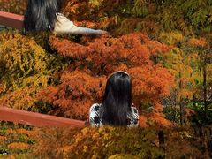 -云溪植物园