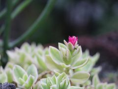 -悦哉·派对·草坪婚礼·围炉煮茶(三圣乡店)
