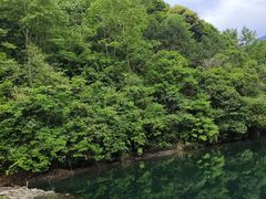 -石台牯牛降景区