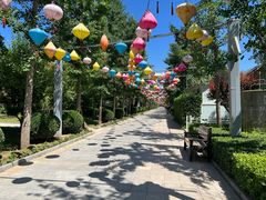 -南宫五洲植物乐园