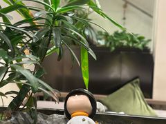 -俏立方·15年新楚菜