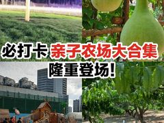 -前小桔亲子创意农场·草莓采摘·露营烧烤