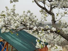 -吉姆冒险世界(蓟州店)