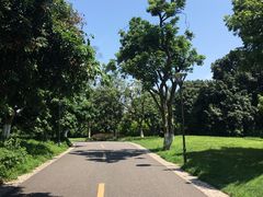 -张坝桂圆林公园